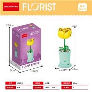 黄月季 - OBL10186284