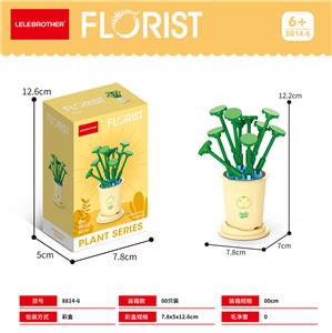 铜钱草 - OBL10186291