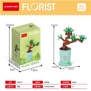 蓬莱松 - OBL10186294