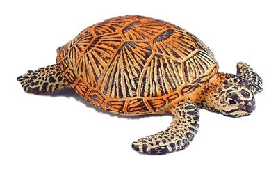 Animaltoys - OBL10191013