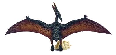 Animaltoys - OBL10191036