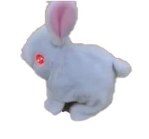电动两眼带灯，小短毛兔 - OBL10192919
