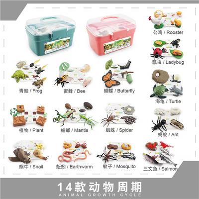 成长周期收纳桶  6款周期产品+6套卡片【任意6款自行搭配成一收纳桶】 - OBL10198354