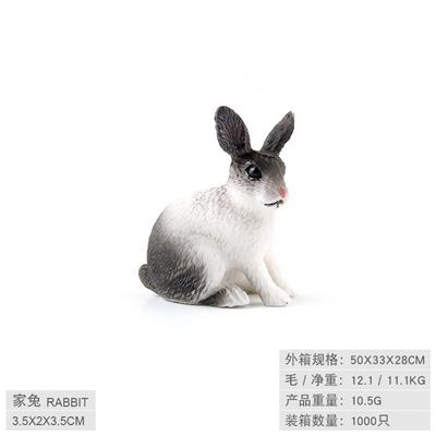 家兔 - OBL10198529