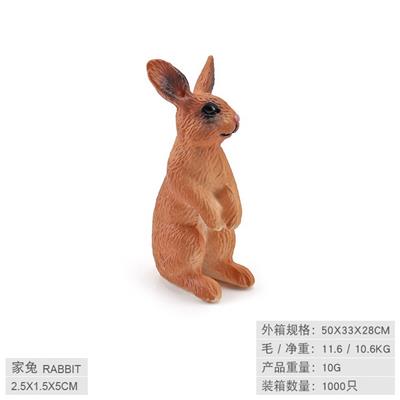家兔，站立 - OBL10198538