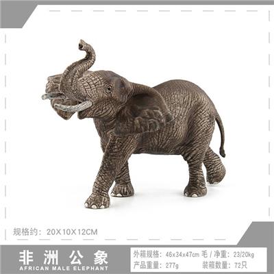 非洲公象 - OBL10198552
