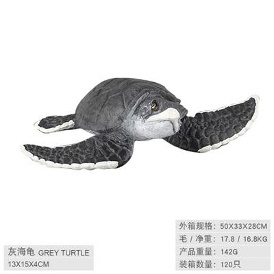灰海龟 - OBL10198593