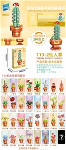 仙人掌 - OBL10211207