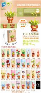 石莲花 - OBL10211209