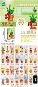 海星花 - OBL10211211