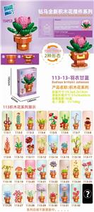 羽衣甘蓝 - OBL10211218