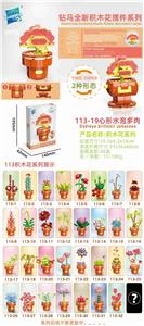 心形水泡多肉 - OBL10211224