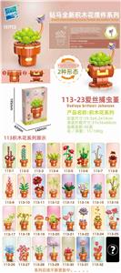 爱丝捕虫堇 - OBL10211228