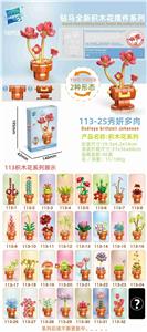 秀妍多肉 - OBL10211230