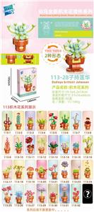 子持莲华 - OBL10211233