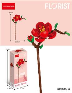 海藻 108PCS       （低价冲量款） - OBL10219845