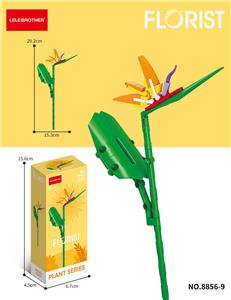 天堂鸟 61PCS      （低价冲量款） - OBL10219848