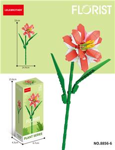 朱顶红 158PCS     （低价冲量款） - OBL10219850