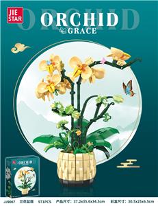 兰花 - OBL10228717