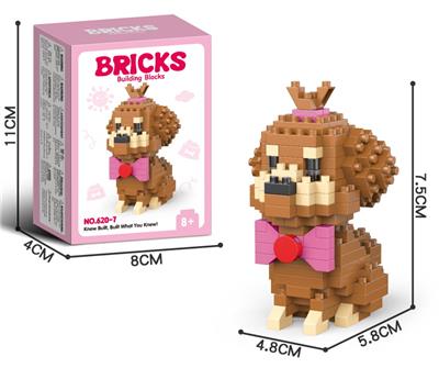 泰迪 - OBL10232388