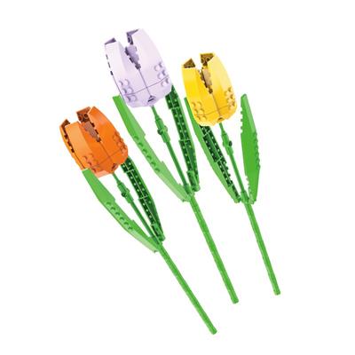 郁金香（三枝装） - OBL10243390