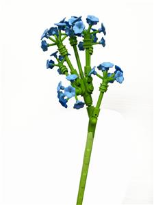 满天星 - OBL10243391