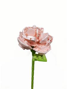 蔷薇 - OBL10243393