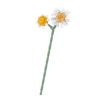 小雏菊 - OBL10243405