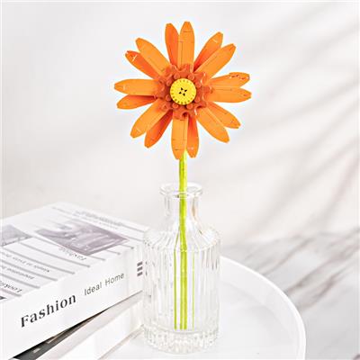 非洲菊
（落日橘） - OBL10243415