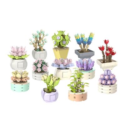 多肉套装 - OBL10243445