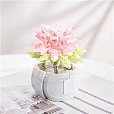 时光旅人 - OBL10243447