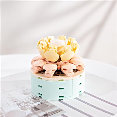 渺渺年华 - OBL10243452