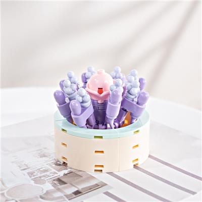 许愿少女 - OBL10243453