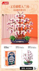 雪玉蝴蝶兰 - OBL10243477