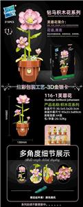 芙蓉花 - OBL10253421