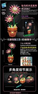 帝王花 - OBL10253443