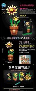 勋章菊 - OBL10253444