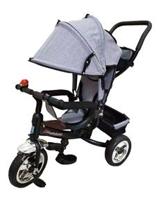 The stroller Series - OBL10265609