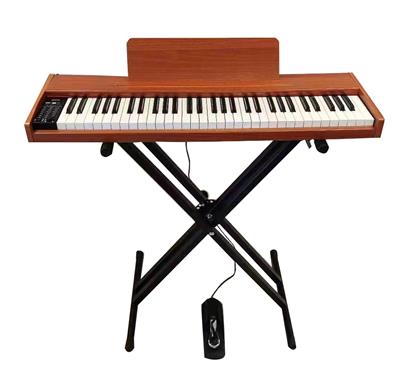 electronic organ - OBL10285924