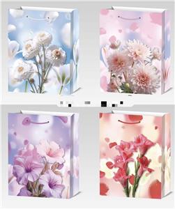 大号撒粉礼品袋 - OBL10320284
