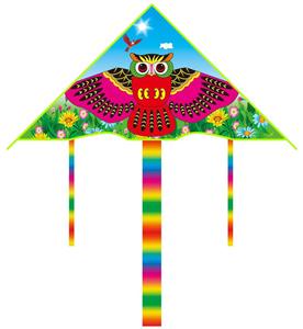猫头鹰 风筝配50米线 - OBL10336672
