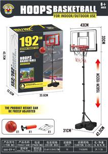 Basketball board / basketball - OBL10338962