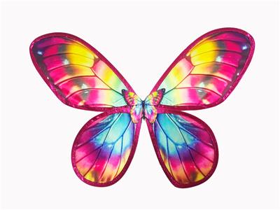 Dress / wings - OBL10365159