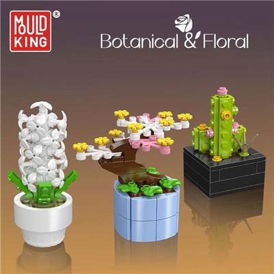 迷你盆栽 全英版 - OBL10383434