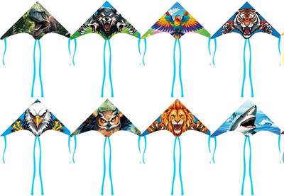 Windmill / kite - OBL10386864