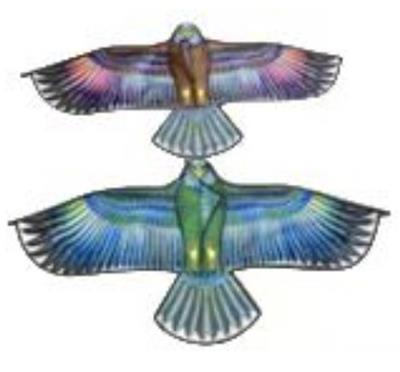 Windmill / kite - OBL10388637