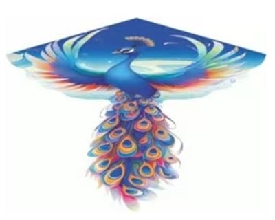 Windmill / kite - OBL10388674