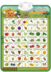 挂图英文蔬菜 - OBL10393909