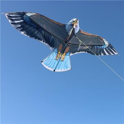 Windmill / kite - OBL10397627