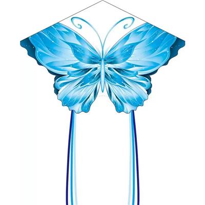 Windmill / kite - OBL10397642